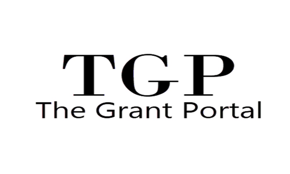 How Can Grant Portal Sites From Private Foundations Help Find Grants In New York?
