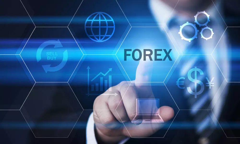 Tips to a Successful Forex Online Course