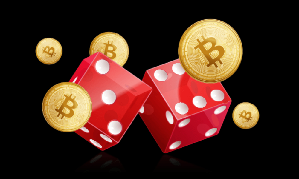 Are bitcoin hardware wallet customization services profitable?